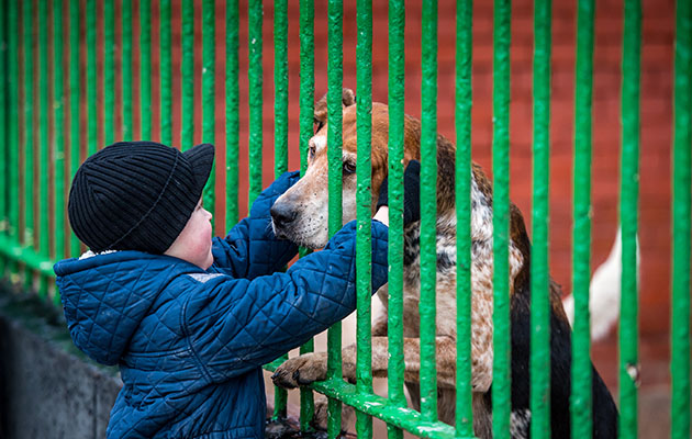 Making friends at the kennels