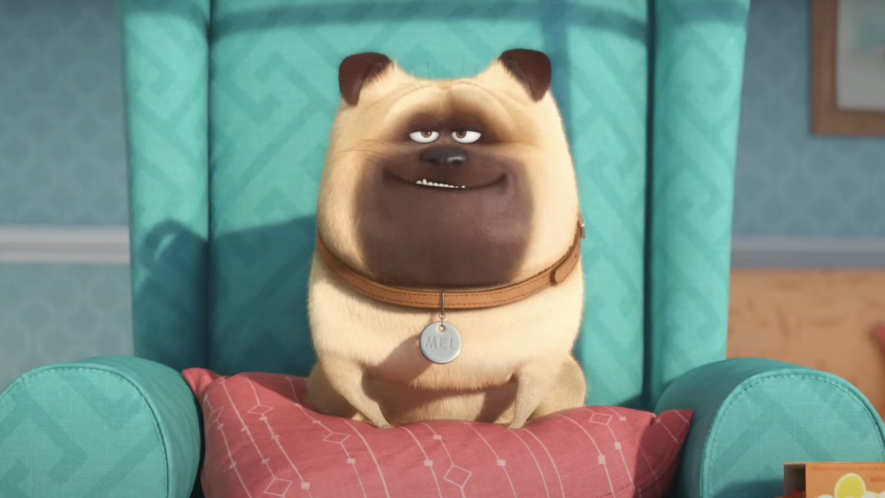 Mel sitting on a chair in The Secret Life of Pets