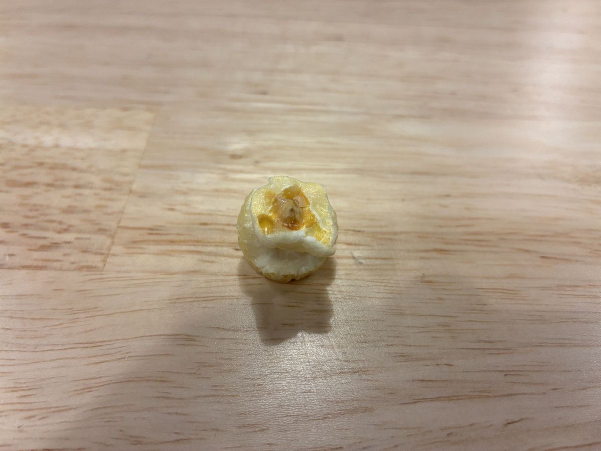 Apple iPhone 16e macro sample.