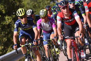 Caleb Ewan in the peloton at the Giro d'Italia