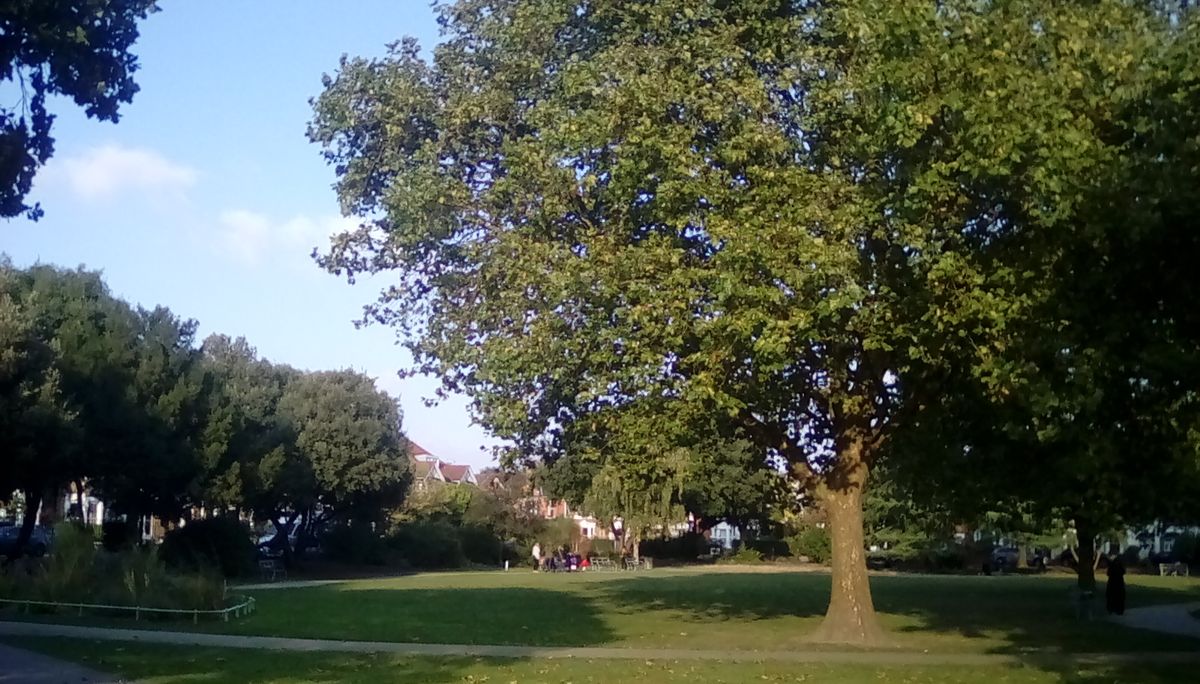 This shot's greens look believable enough, but the whole photo just looks crude.