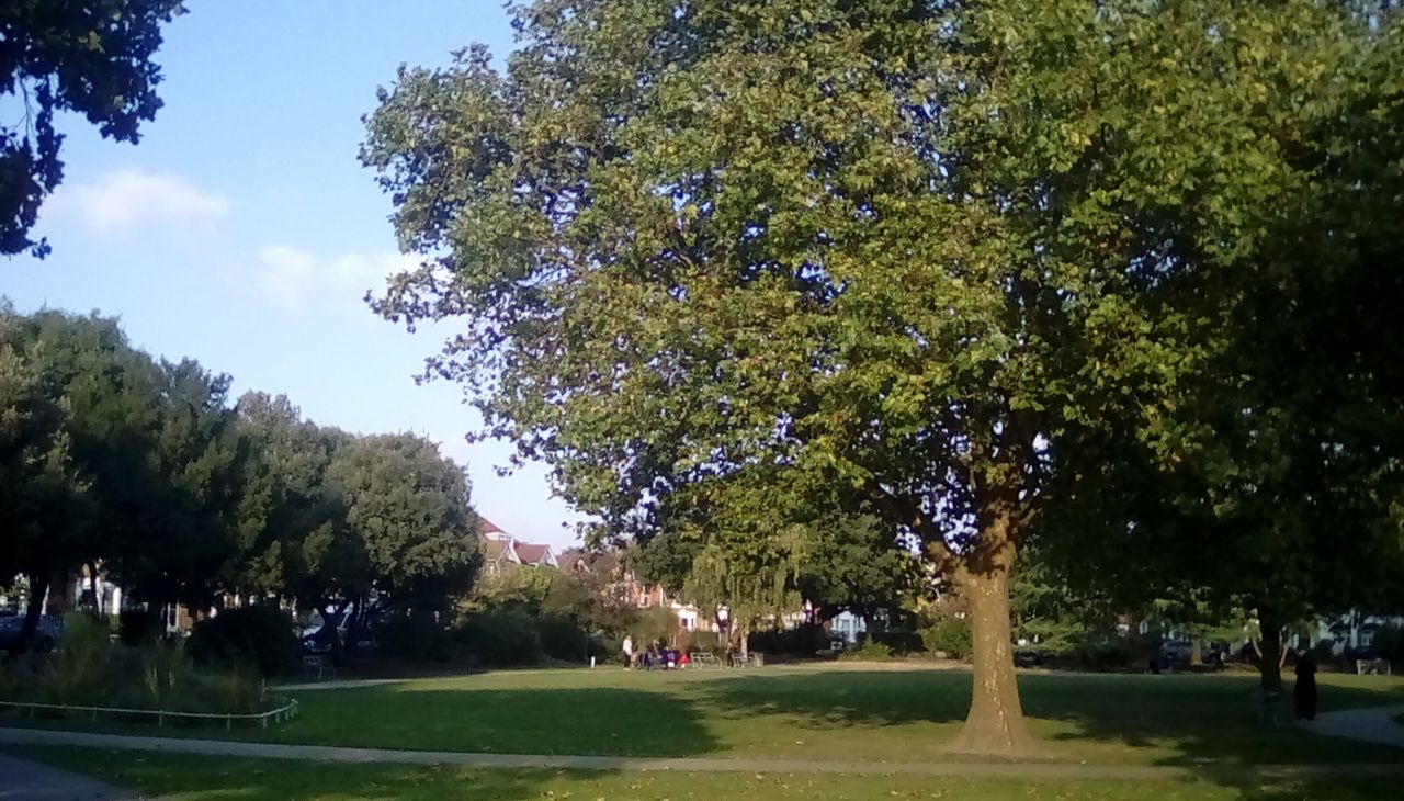 This shot's greens look believable enough, but the whole photo just looks crude.