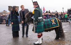 prince harry shetland