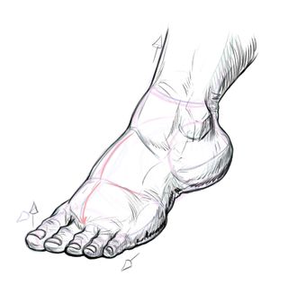 feet figure drawing