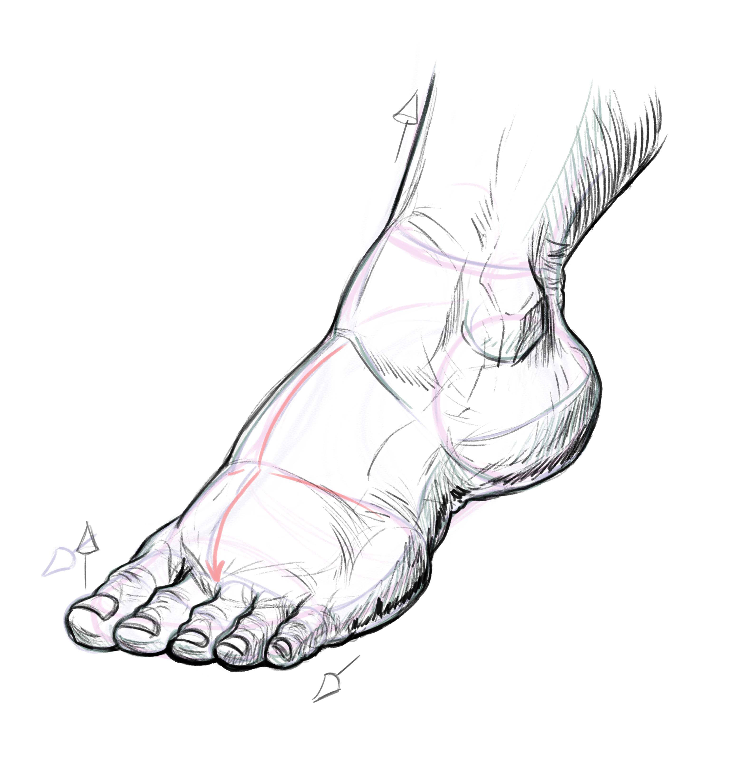 How to draw feet