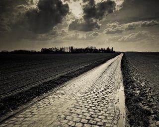 The cobbles of the Carrefour de l'Arbre were once again decisive.