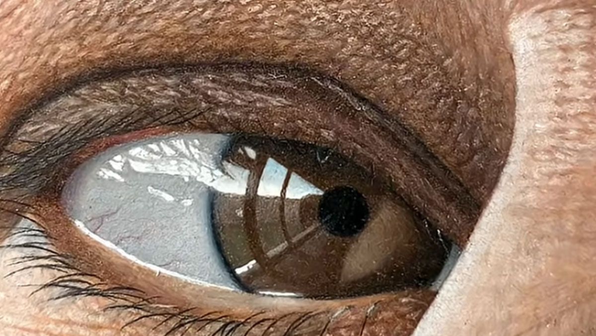This hyper-realistic pencil drawing racked up 2.3 million views on TikTok – and took two years to create