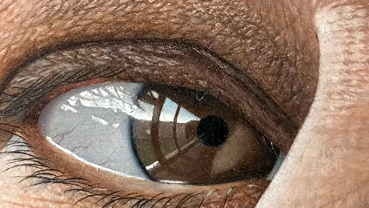 WOman&#039;s eye drawn in pencil 