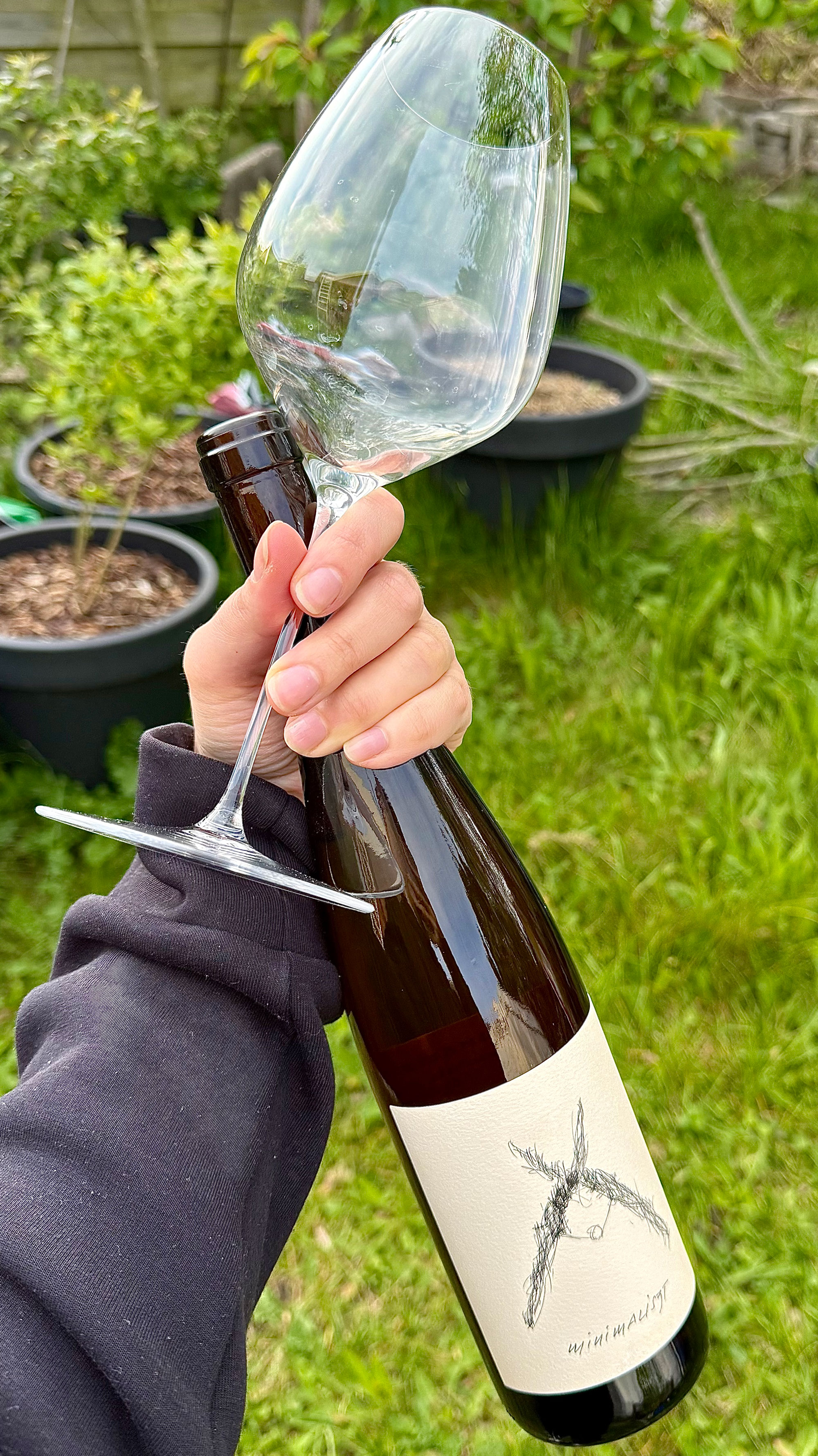 Hand holding a bottle of Liszt, Minimaliszt Furmint, Burgenland, Austria 2022 and a glass