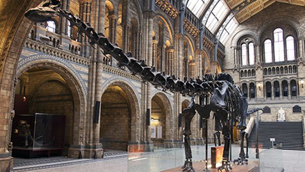 Dippy the Diplodocus