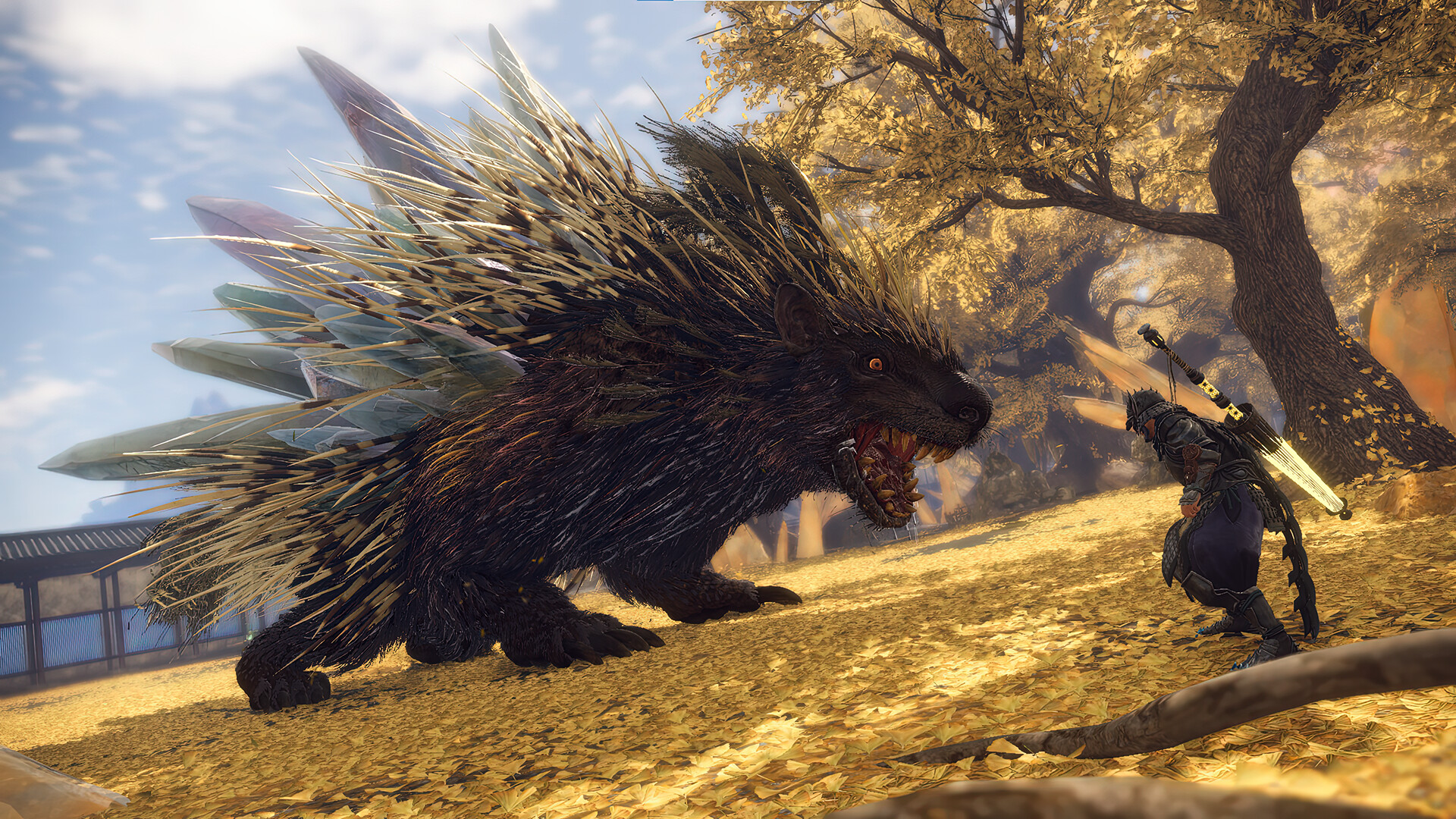 Hunter faces off with angry porcupine