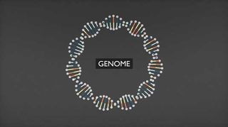 The BBC commissioned Territory to create an animation explaining the fundamentals of DNA