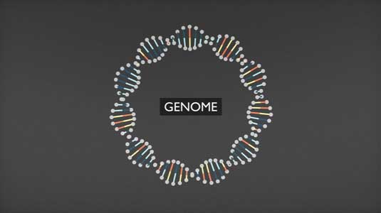 The BBC commissioned Territory to create an animation explaining the fundamentals of DNA