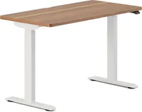 Branch Duo standing desk