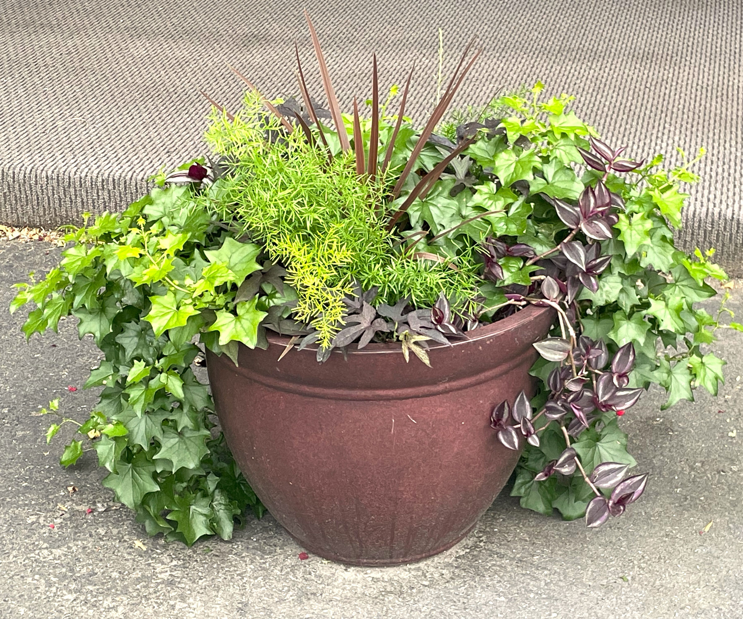full sun container with foliage arrangement