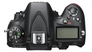 Nikon D800 vs Nikon D600