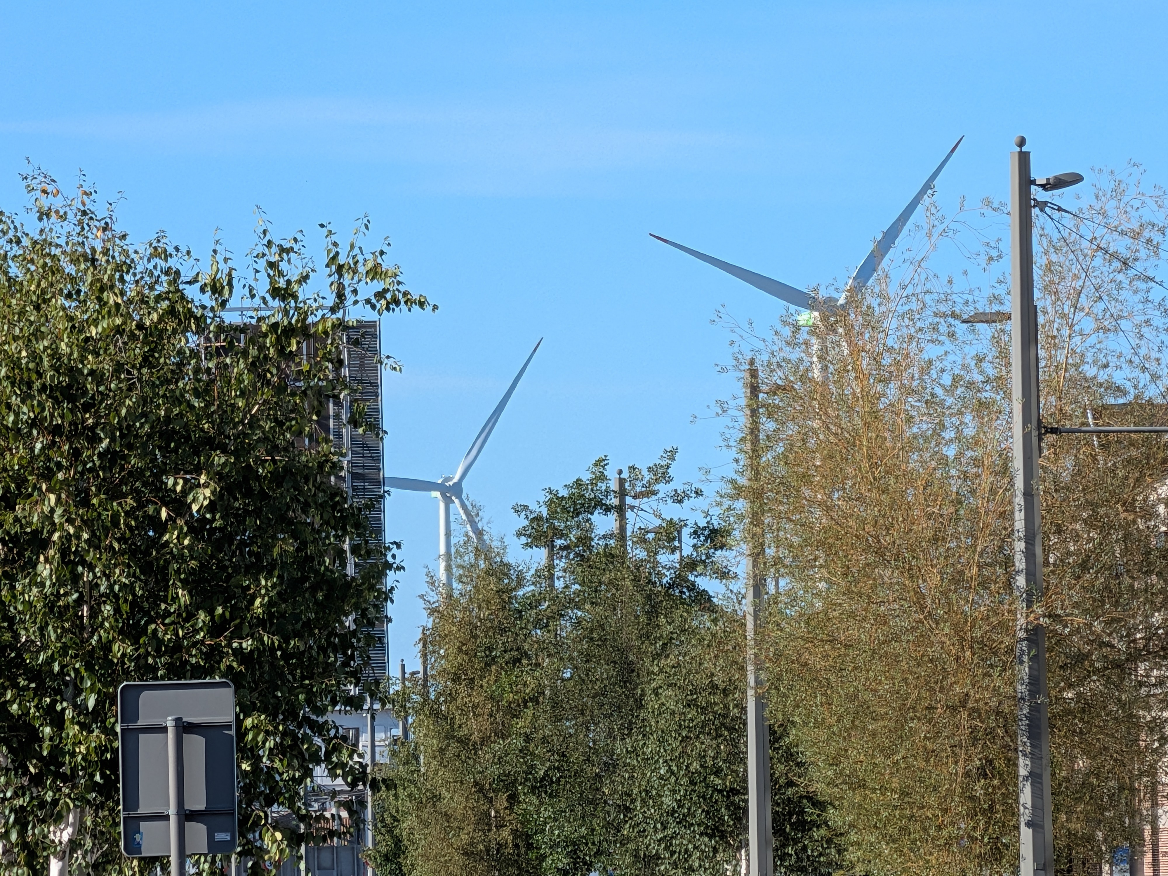 Google Pixel 10 voorbeeldfoto