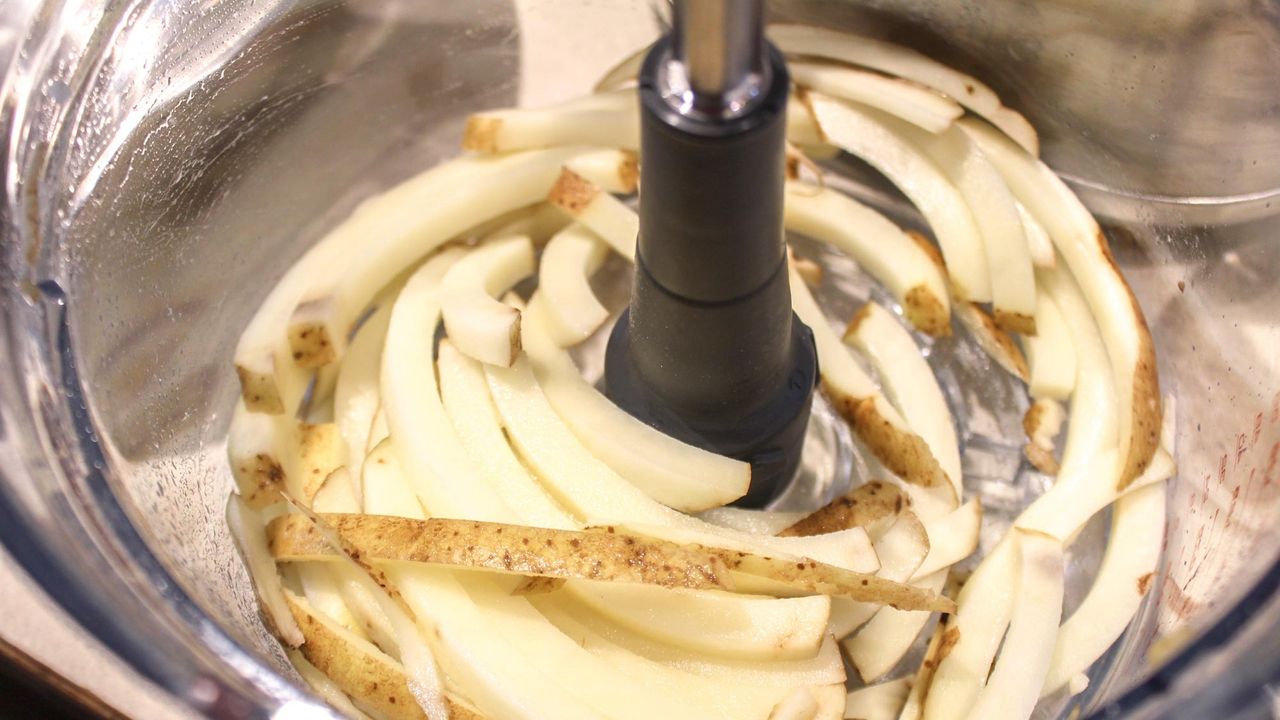 Breville Paradice 16 food processor