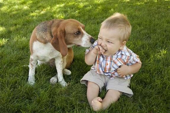 baby and dog