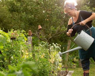 Woman watering plants with watering can in summer garden