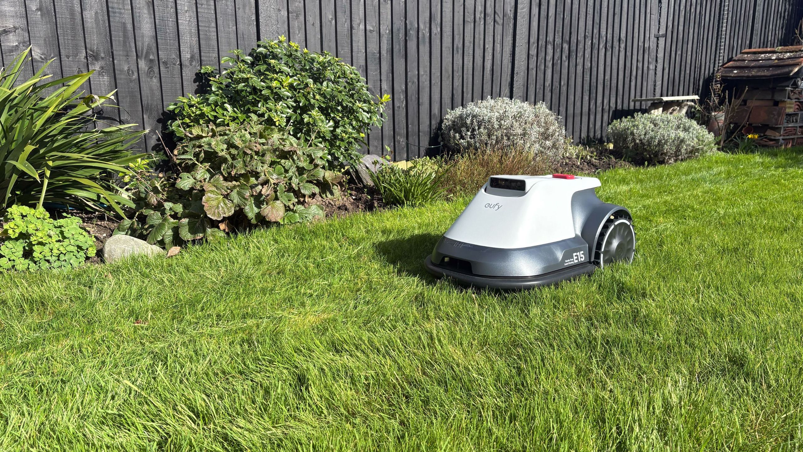 How short should you cut your grass in a heatwave? Experts say this is the sweet spot for a greener, sun-protected lawn