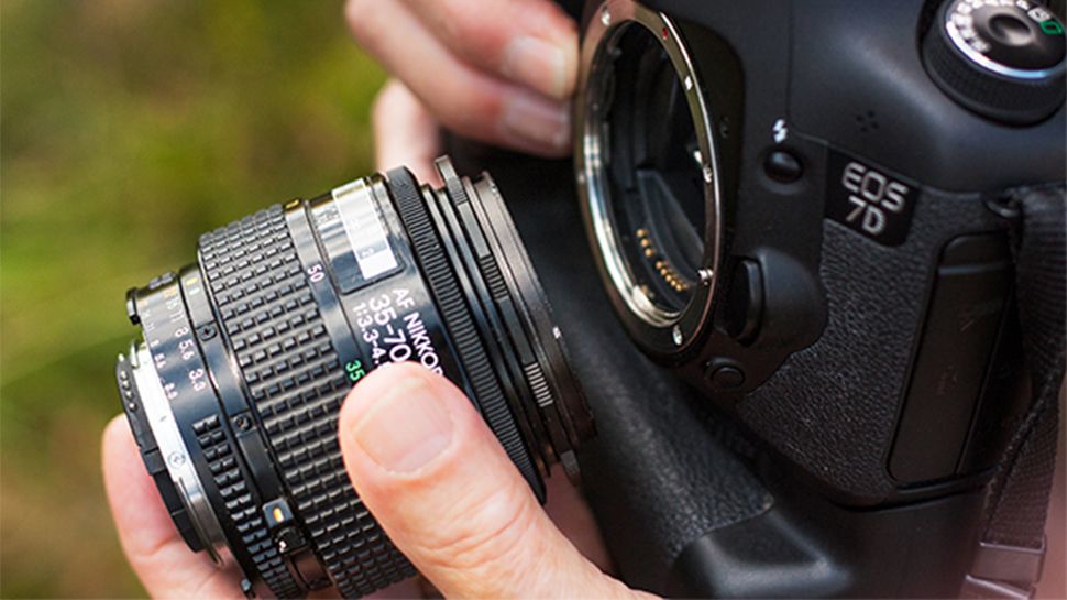 How to use a reversing ring and flash for great macro shots | Digital ...