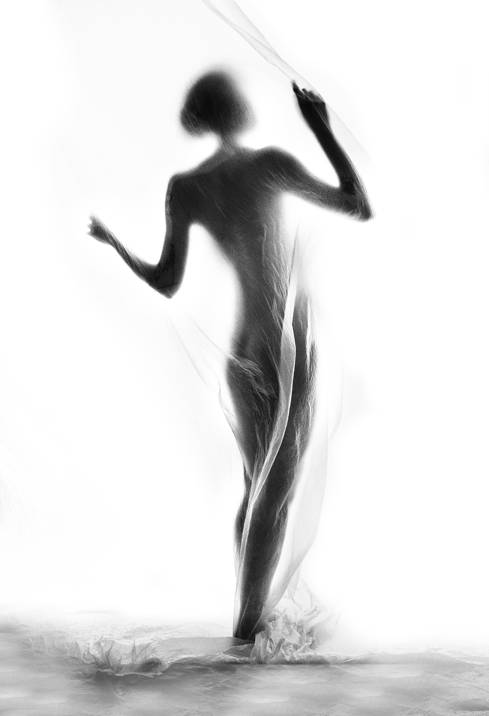 A shadowy silhouette of a person draped in translucent fabric, creating an ethereal, dreamlike atmosphere against a bright background
