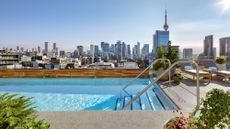 The view of downtown Toronto from the rooftop pool at 1 Hotel Toronto