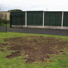 Lawn damaged by chafer grubs and magpies