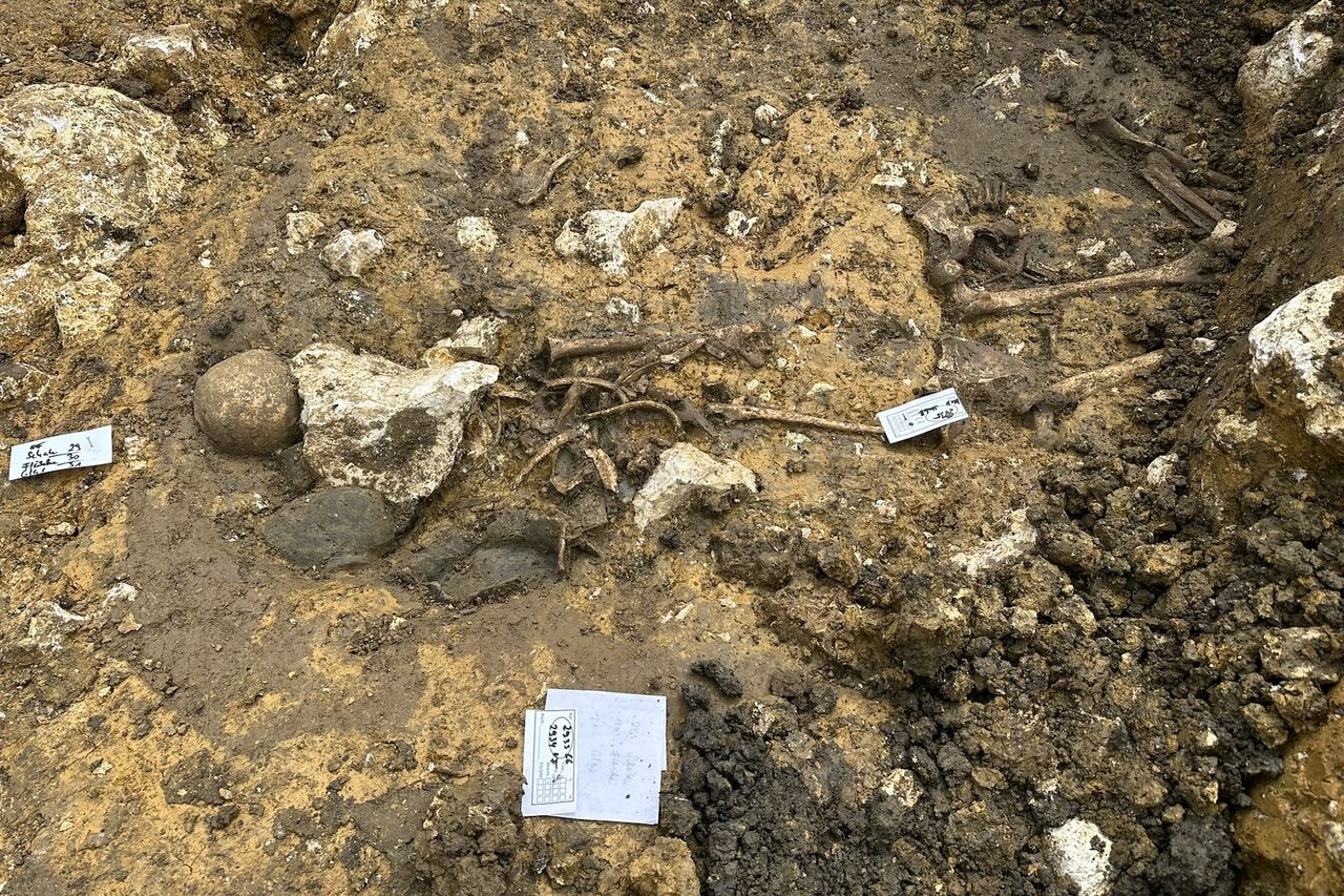 An excavation site revealing piles of bones