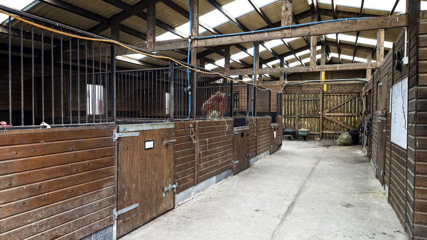 Ovington House Equestrian Facilities