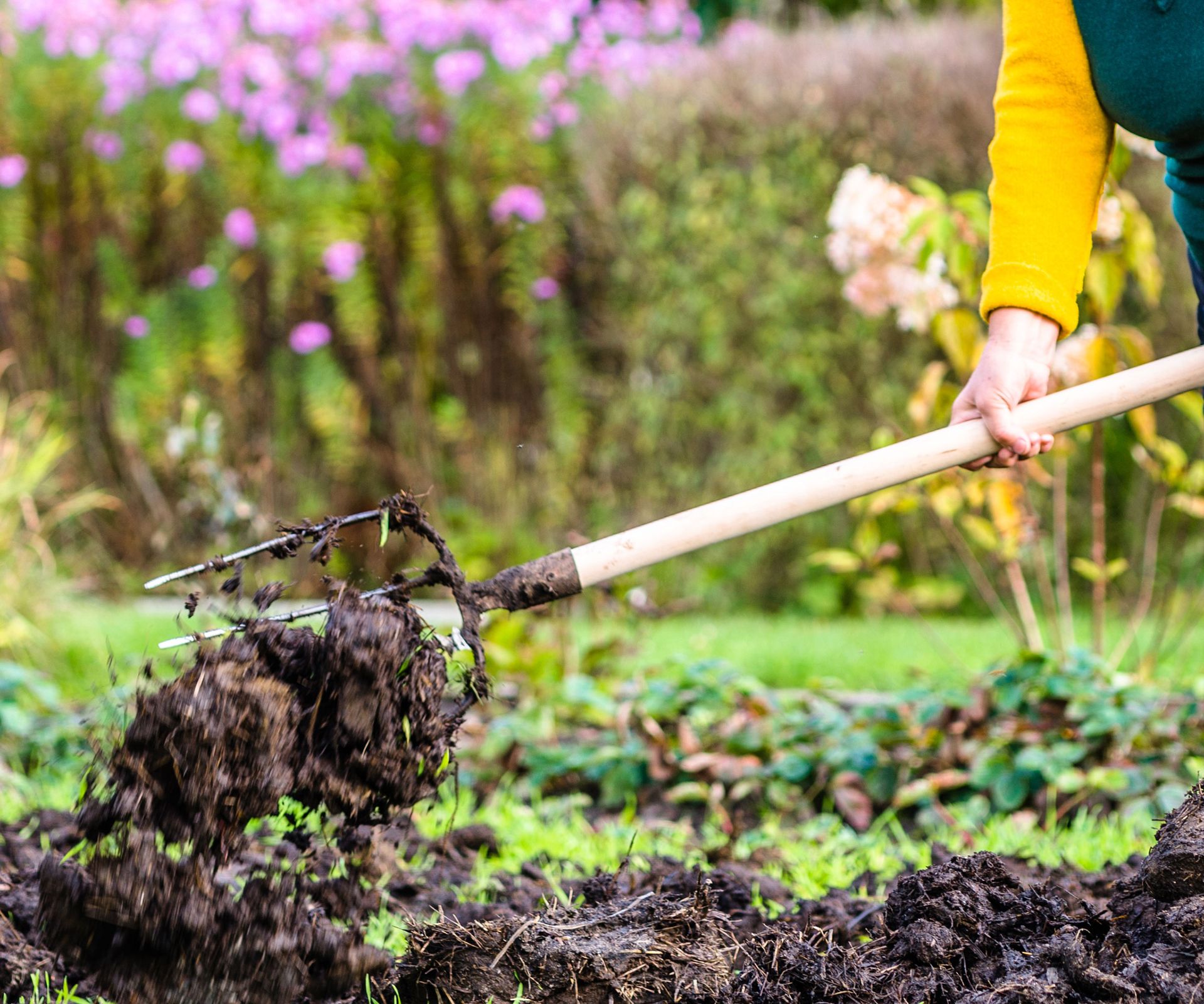 How to improve garden soil 5 simple methods Homes & Gardens