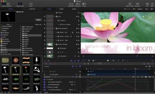 Best video effects software