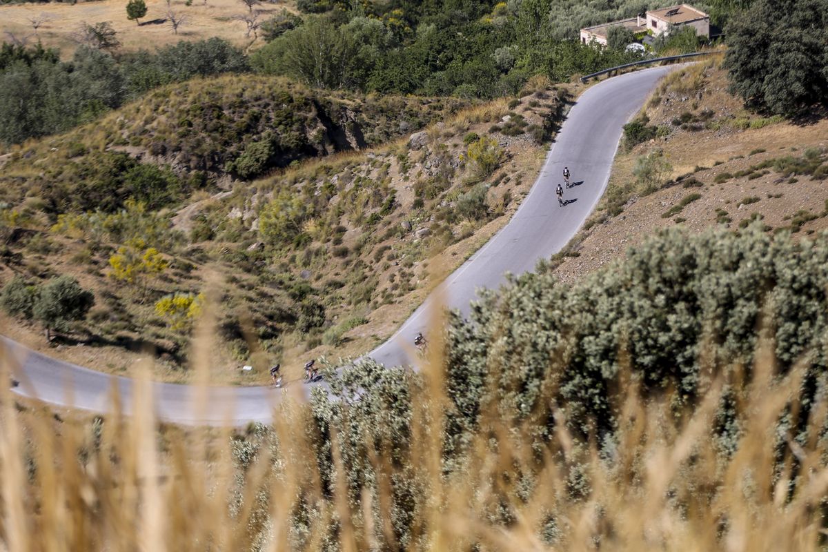 The Giant-Alpecin riders enjoy a fast descent