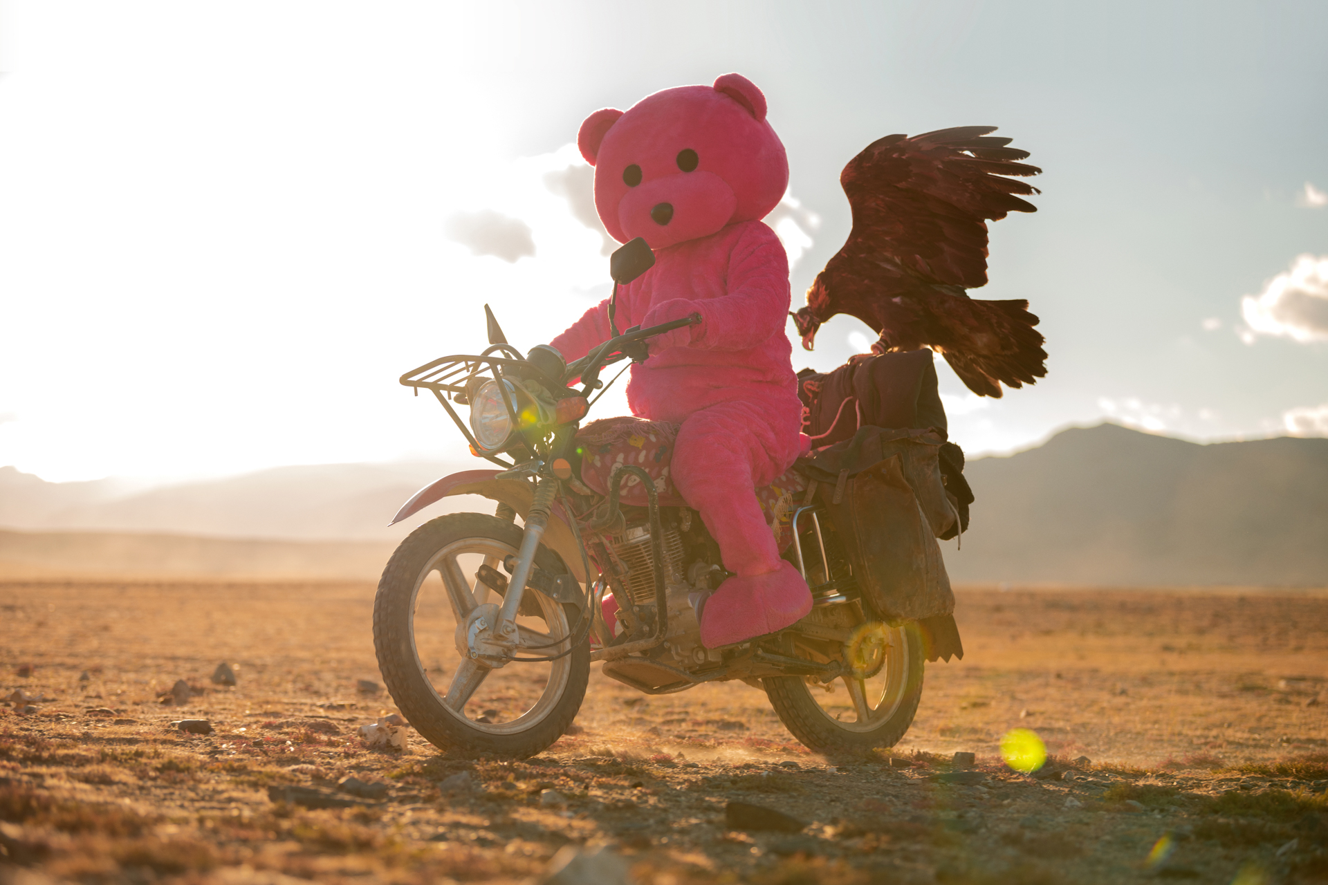 Pink bear on a motorbike in Mongolia