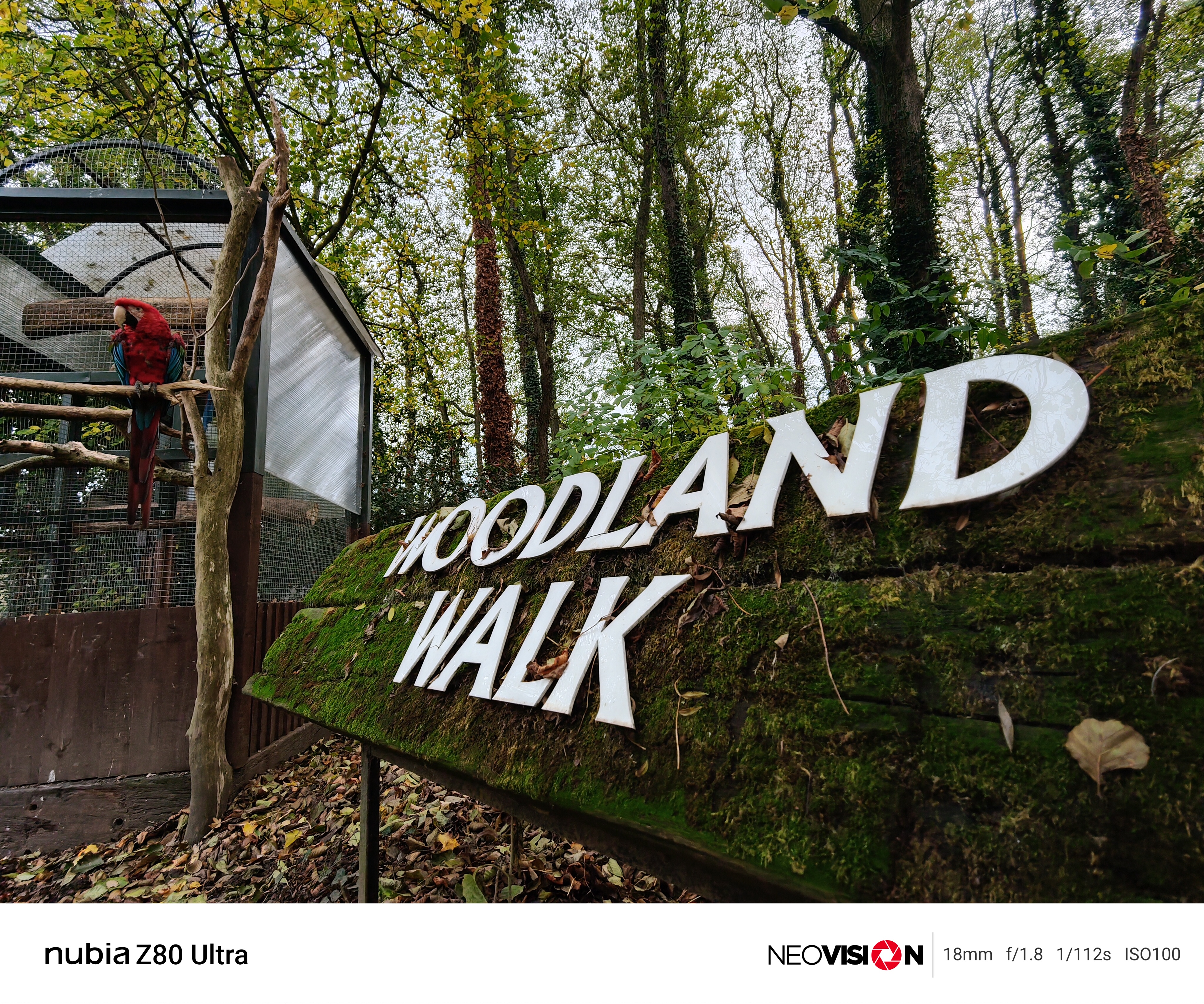 A sign in a wooded area reading Woodland Park