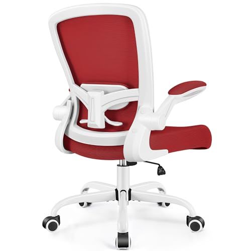 FelixKing Ergonomic Desk Chair