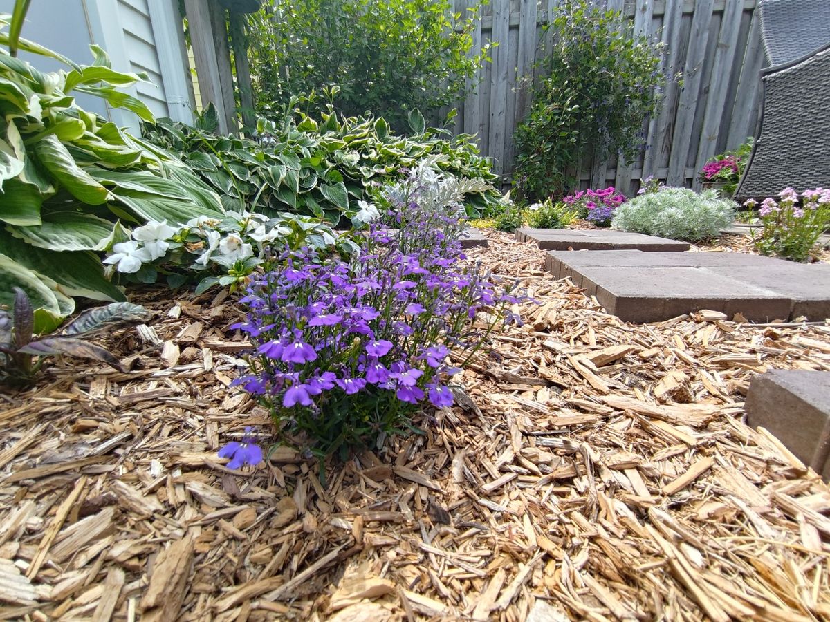 Asus Zenfone 10 camera samples