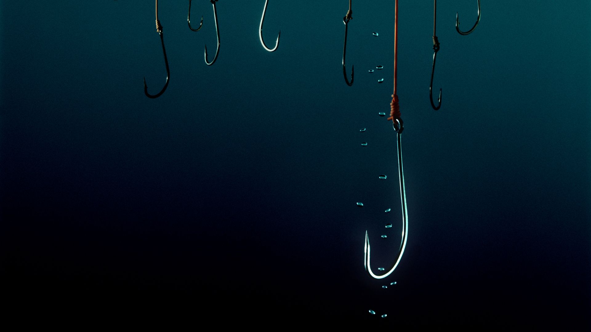 How to choose the right fishing hook Jhooks, circle hooks, barbed v