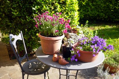 A backyard with a small round garden table with potted flowers on it in the sun