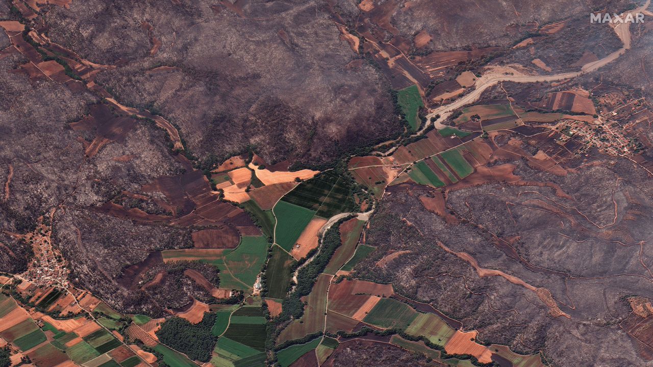 Destruction after a wildfire on the Greek island of Evia.