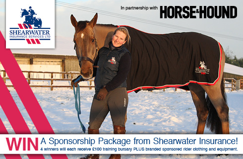Shearwater logo