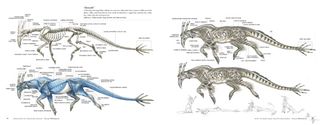 Principles of Creature Design Review: Making make-believe believable