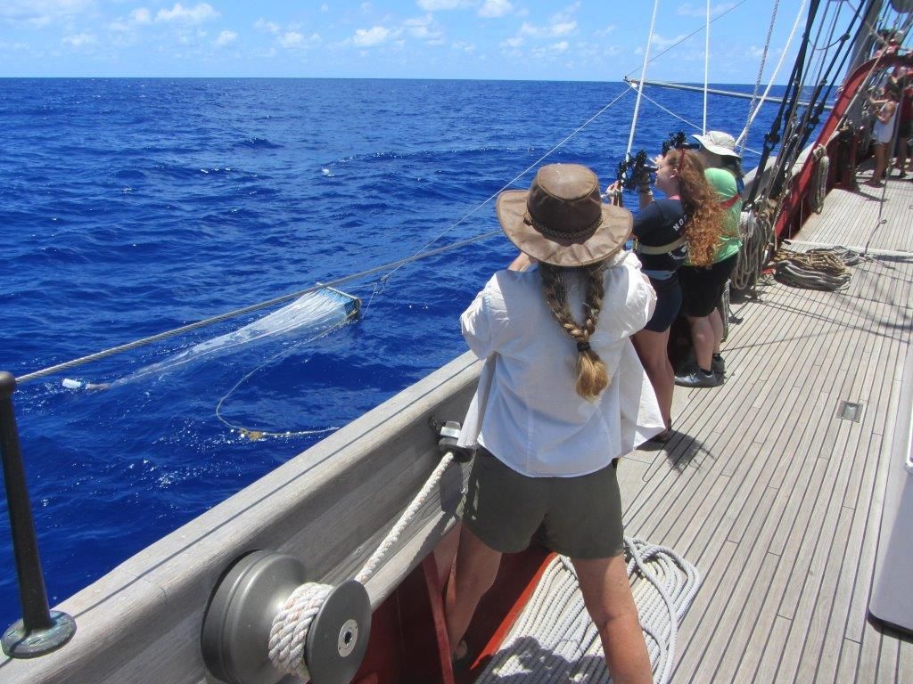 students collect plastic from the ocean