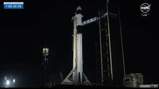 Crew-8's Falcon 9 rocket and Dragon capsule, named Endeavour, on the pad on March 3, 2024.