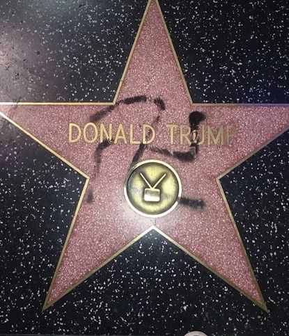 Donald Trump's defaced Hollywood Walk of Fame star.