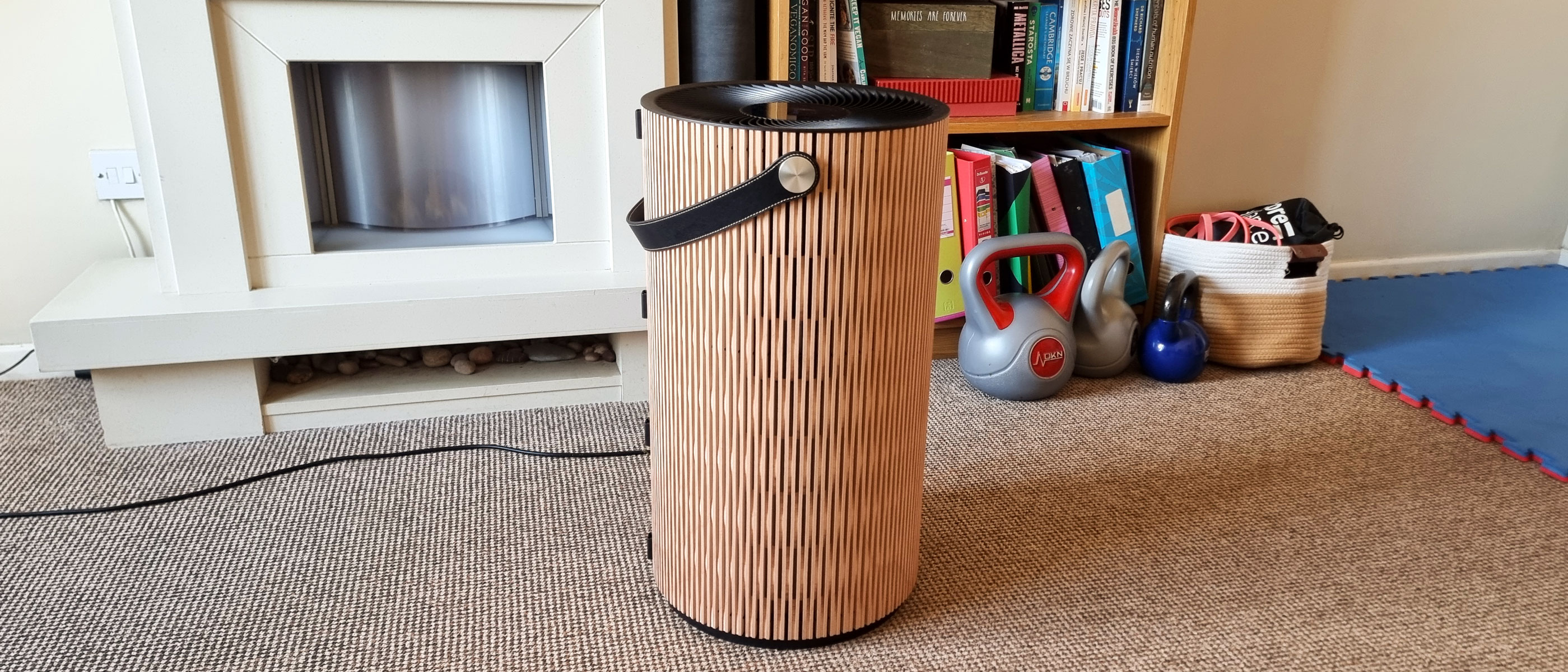 A picture of our reviewer's IQAir Atem Earth air purifier standing in the middle of a living room