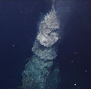 deep-sea vents, hydrothermal vents, life on hydrothermal vents, deep sea life, deep sea research, deep-sea microbes, deep sea discoveries, animals, earth