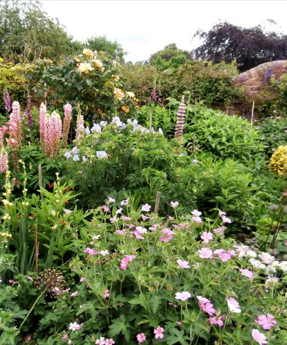 Top 5 planting mistakes to avoid – from the experts | Homes & Gardens