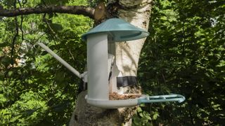 Netuve Birdfy camera attached to a tree profile of camera